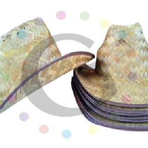 Sombrero Texano Palma