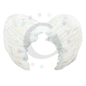 Alas de Ángel Mediana